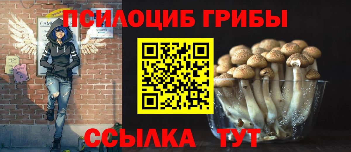 Галлюциногенные грибы мухоморы Елизово