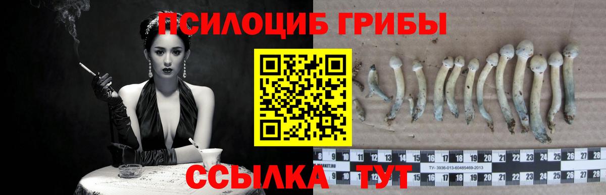 Псилоцибиновые грибы мицелий  Псилоцибиновые грибы мицелий  наркота  Елизово  Вход с VPN 